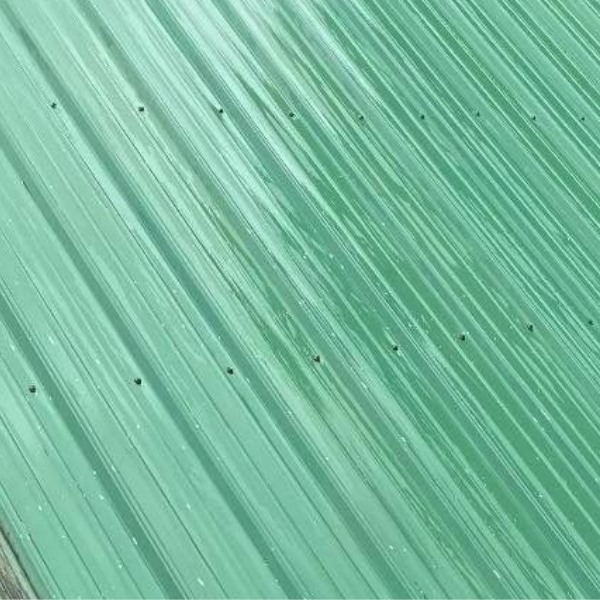 wash n more tx before and after roof washing 3